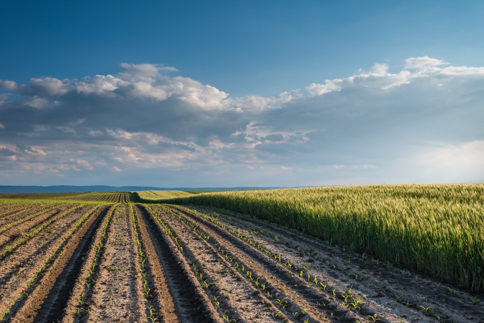 Nová demonstrační farma Karlow-Karlshof Agro s.r.o.